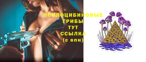 apvp Сосновка