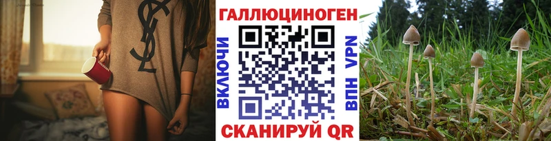 маркетплейс состав  Торжок  Галлюциногенные грибы MAGIC MUSHROOMS  KRAKEN ссылки 