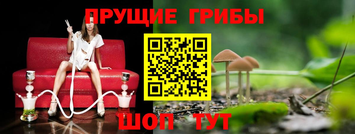 Псилоцибиновые грибы MAGIC MUSHROOMS  Вход с VPN  Торжок  закладка  Галлюциногенные грибы мухоморы 